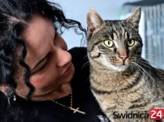Mruczący podopieczni świdnickiego schroniska zapraszają do wspólnego świętowania Dnia Kota