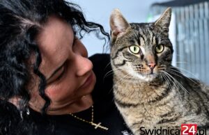 Mruczący podopieczni świdnickiego schroniska zapraszają do wspólnego świętowania Dnia Kota