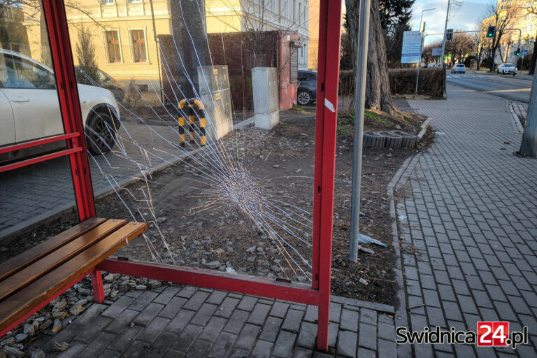 Plaga dewastacji w Świdnicy. Prezydent apeluje do mieszkańców [FOTO]