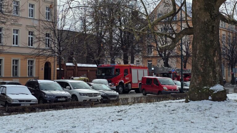 Świdnica: Pożar sadzy w kominie [FOTO]