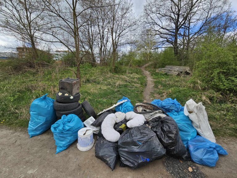 Bezrobotni pomogą sprzątać miasto. W ubiegłym roku przy likwidacji dzikich wysypisk zebrano 38 ton śmieci