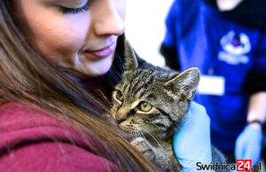 Podwójne święto w świdnickim schronisku. Dzień Kundelka i jubileusz Fundacji Mam Pomysł