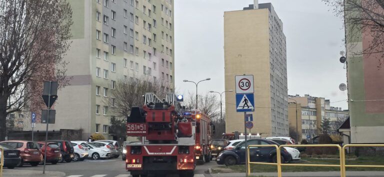 Mieszkaniec wyczuł siarkowodór. Interwencja w wieżowcu