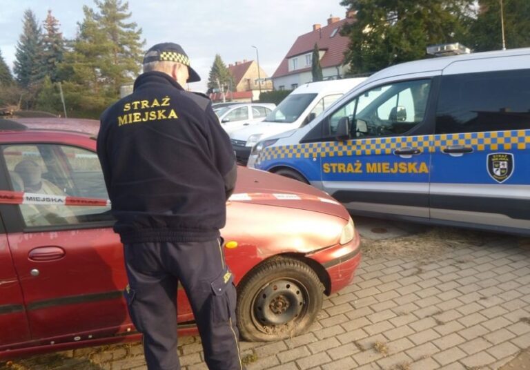 Pijany zanieczyszczający autobus, bezdomny dobijający się do mieszkań, psy zostawione bez opieki. Interwencje straży miejskiej
