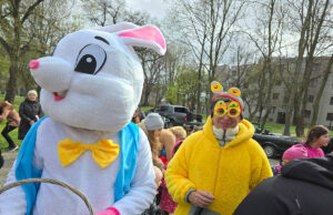 W Żarowie kiermasz, w Strzegomiu mobilny zając