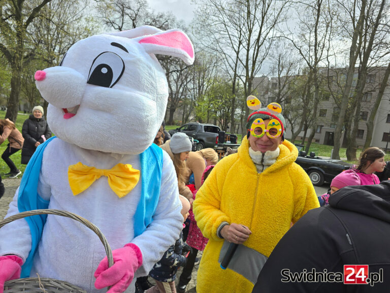 W Żarowie kiermasz, w Strzegomiu mobilny zając
