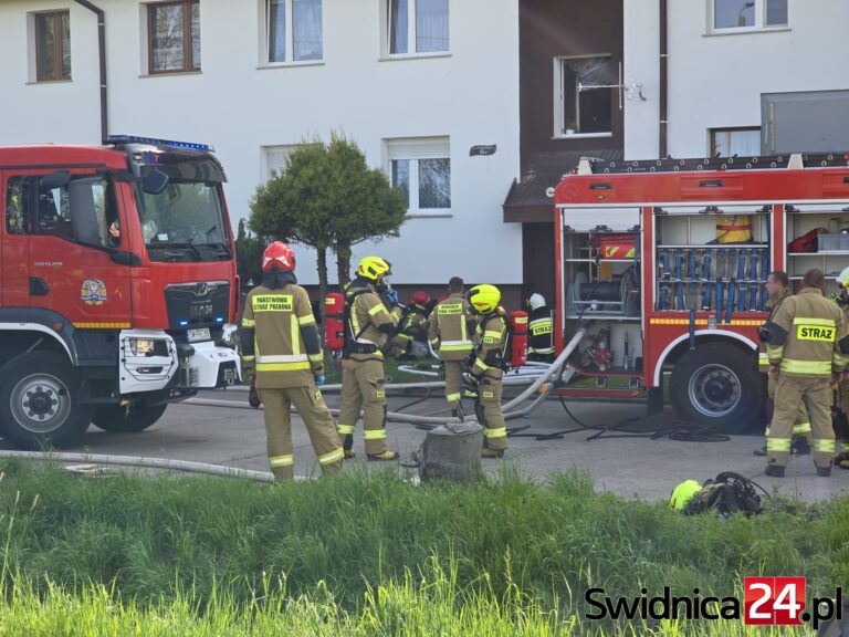 Pożar piwnicy w Goczałkowie. Wewnątrz była butla z gazem [FOTO]