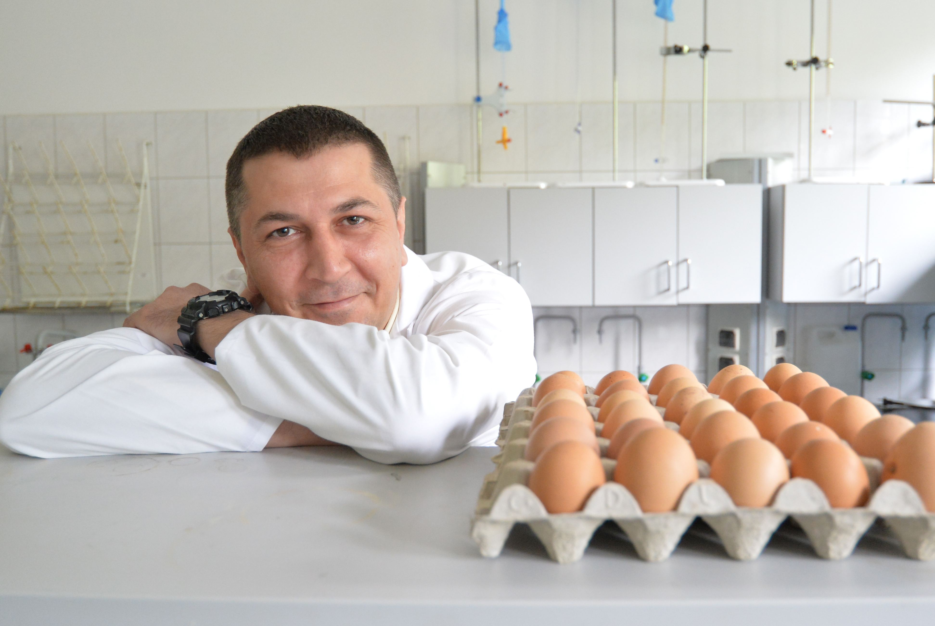 Ile jaj można zjeść? Jak uniknąć zatrucia i wyrzucania żywności na święta?