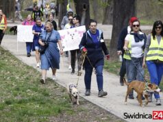 Bezdomniaki z Pogodnej znów przemaszerują przez miasto. Będą zachęcać do adopcji