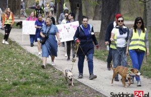 Bezdomniaki z Pogodnej znów przemaszerują przez miasto. Będą zachęcać do adopcji