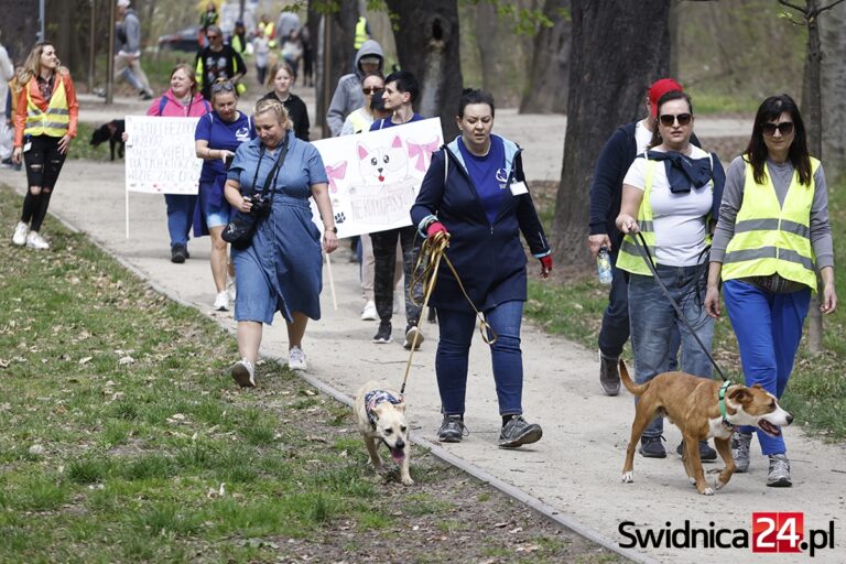 Bezdomniaki z Pogodnej znów przemaszerują przez miasto. Będą zachęcać do adopcji