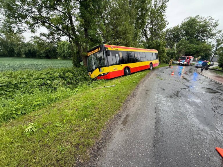 Zderzenie osobówki z autobusem. Uszkodzone oba pojazdy i słup energetyczny [FOTO]