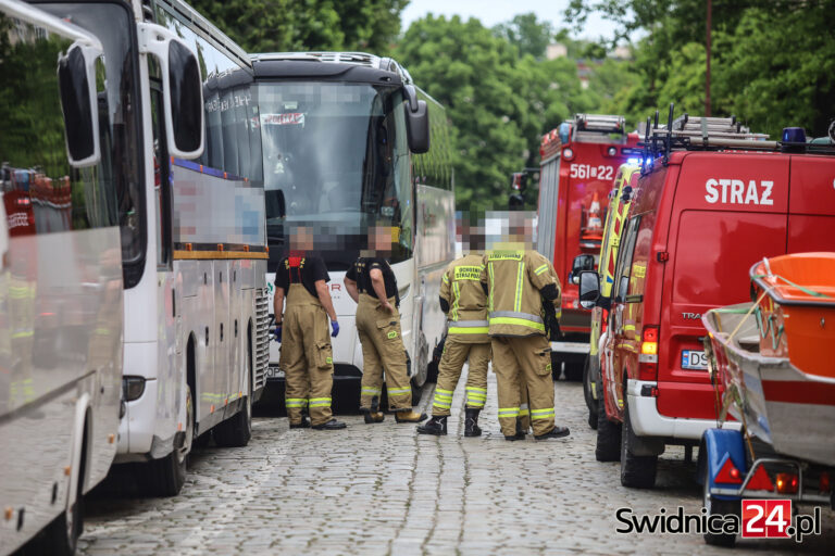 Strażacy ratowali psy i nieprzytomnego kierowcę autokaru wycieczkowego [FOTO]