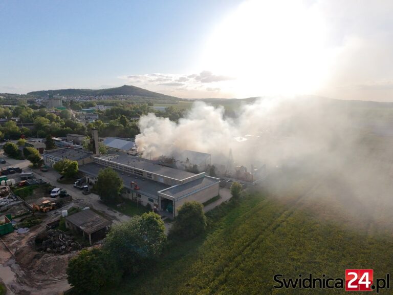 Pożar w zakładzie przetwarzania odpadów [FOTO]