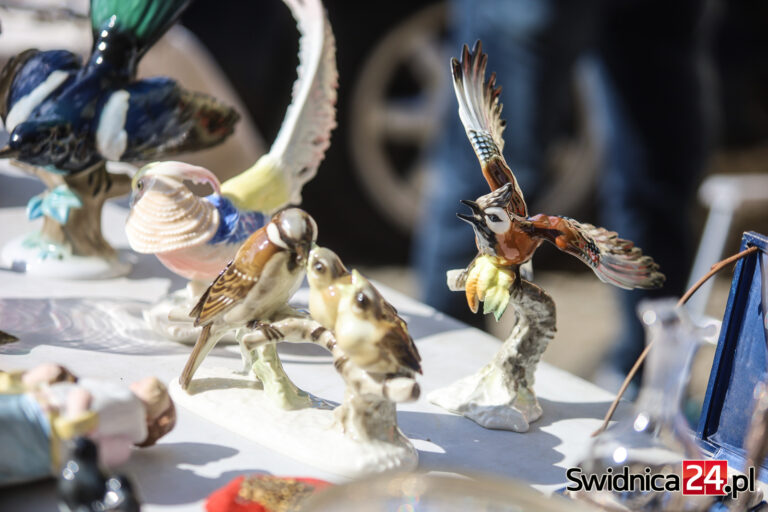 Majowa giełda staroci. Miłośnicy rzeczy niezwykłych ponownie zawitali do Świdnicy [FOTO/VIDEO]