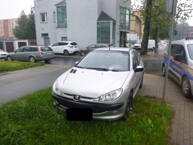 Rodzina kaczek wymagająca pomocy, problemy z pijanymi, parkowanie na trawniku. Interwencje straży miejskiej