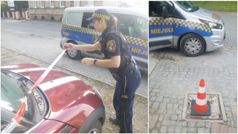 Skopana szafka elektryczna, poszukiwany śpiący w zatoce parkingowej, zwierzęta potrzebujące pomocy. Interwencje straży miejskiej