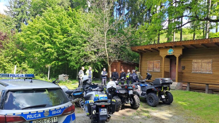 Kontrolowali lasy, przypominają o zakazach i karach