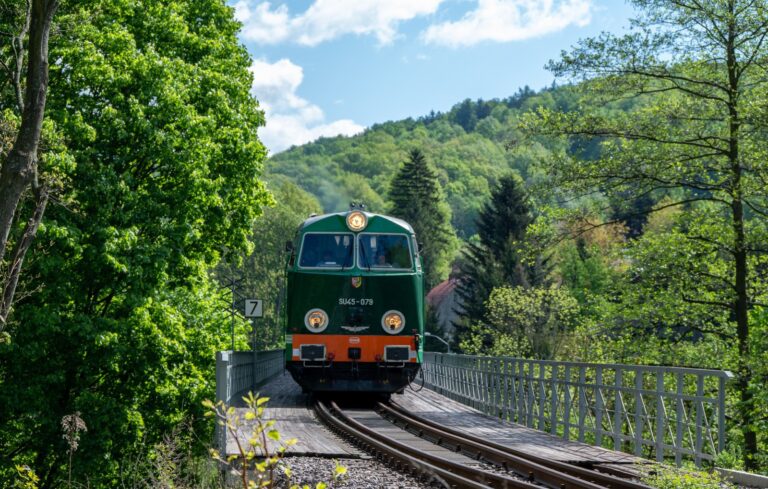 Pociągiem retro w Góry Sowie. Wyruszyli na kolejowe zwiedzanie Dolnego Śląska [FOTO/VIDEO]