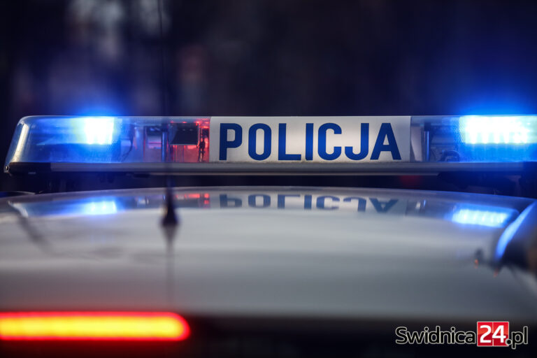 Child Alert: Zaginęła 11-letnia Patrycja/Odnaleziona