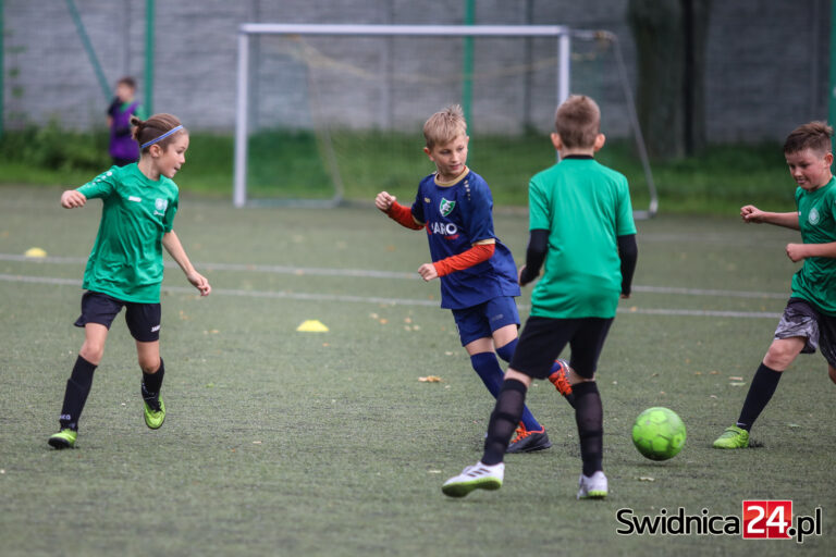 Dwa miliony na sportowe inwestycje w powiecie świdnickim. Sprawdź, na co trafią przyznane dotacje