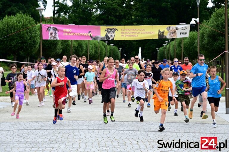 Festiwal Mokrych Nosków dla podopiecznych świdnickiego schroniska [FOTO]