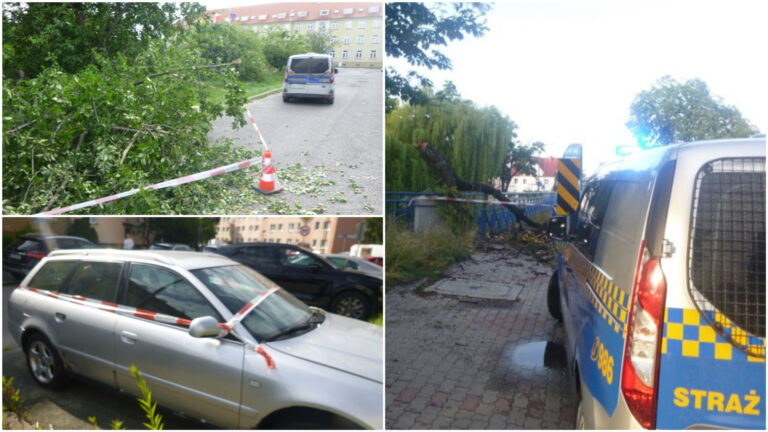 Popijawa w centrum miasta, zastawiona „koperta”, usuwanie skutków nawałnicy. Interwencje straży miejskiej