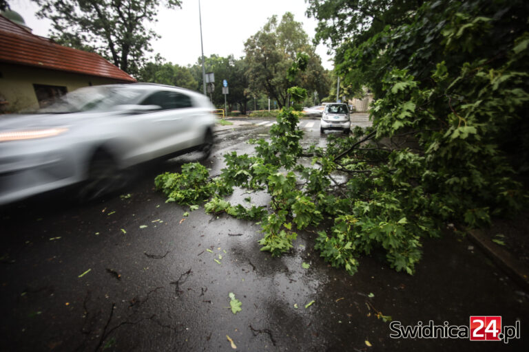 Połamane drzewa i konary na drogach. Strażacy usuwają skutki nawałnicy [FOTO/VIDEO]