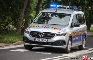 Przerwane spotkanie alkoholowe, nietrzeźwy leżący na chodniku i zmarznięty piesek. Interwencje straży miejskiej