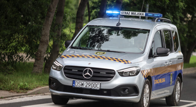 straz miejska ilustracyjne 2025.06.08-1