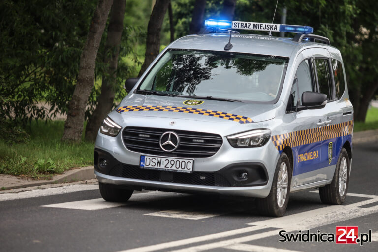 Kąpiel w zalewie Witoszówka, głodny uciekinier, nieletnia nieprzytomna po popijawie. Interwencje straży miejskiej