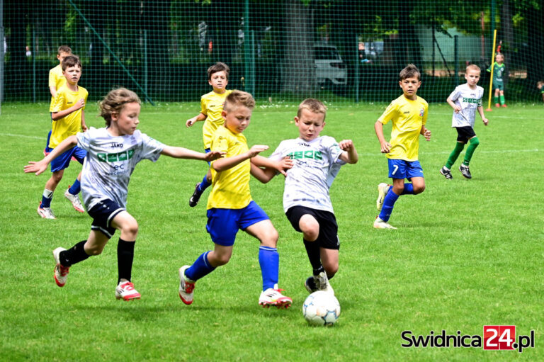 Znakomita walka i emocje. Święto sportu na terenie OSiR-u Świdnica [FOTO/WYNIKI]