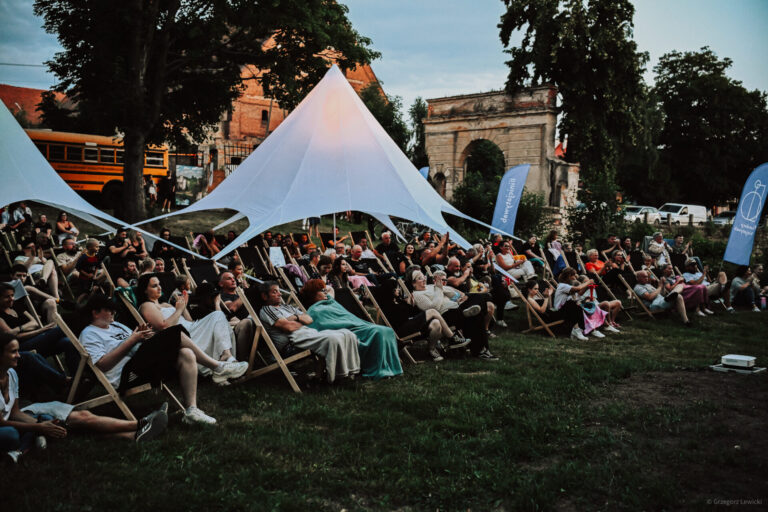 „Different Point of View”. Festiwalowe kino plenerowe w Mrowinach [FOTO]