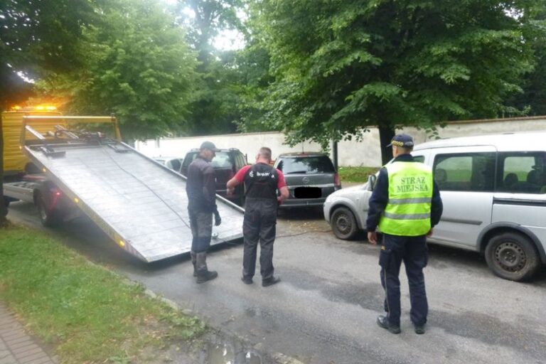 Zastawiona karetka, popijawa pod okiem kamery, problemy z bezdomnymi. Interwencje straży miejskiej
