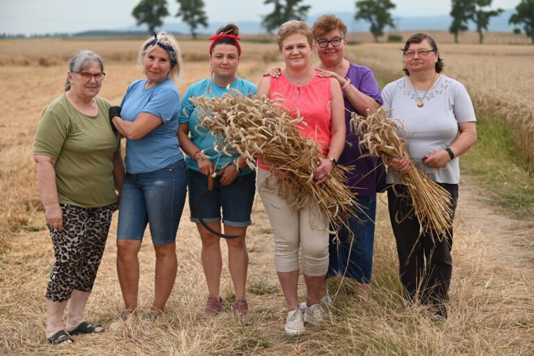 Jest już program Święta Plonów gminy Świdnica