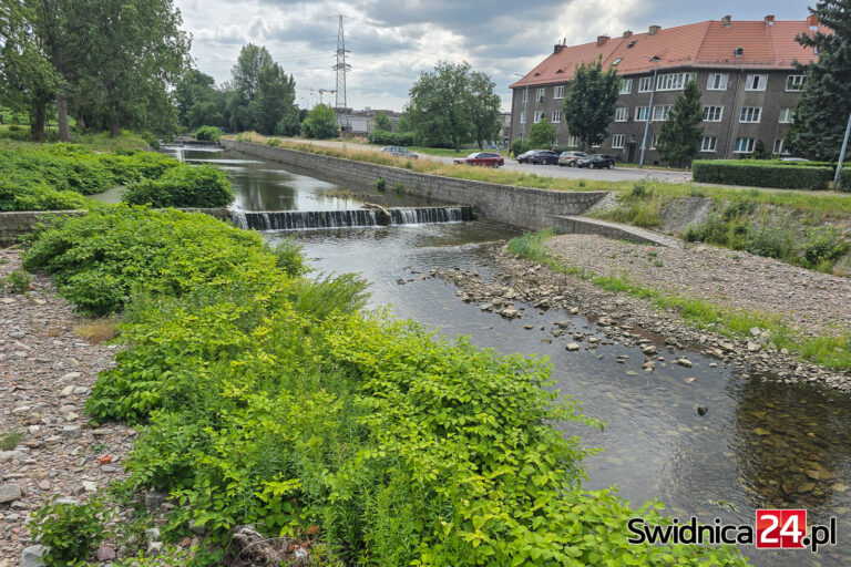 Niedawno zajęto się koszeniem brzegów, teraz pora na uprzątnięcia koryta Bystrzycy