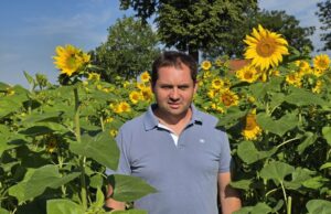100 tysięcy słoneczników od rolnika dla chorych dziewczynek. Zrywaj i wpłacaj datki!