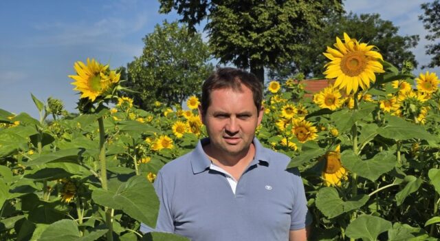 100 tysięcy słoneczników od rolnika dla chorych dziewczynek. Zrywaj i wpłacaj datki!