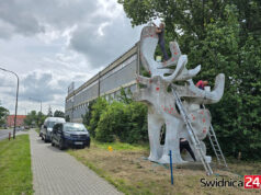 Rzeźba renifera znajdzie się pod opieką miasta?