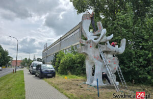 Rzeźba renifera znajdzie się pod opieką miasta?