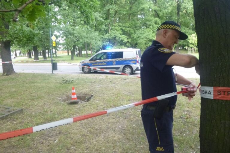 Kaczki uwięzione w studzience, problemy z bezdomnymi i popijawy na placu Jana Pawła II. Interwencje straży miejskiej