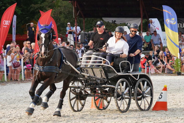 Art Cup 2025 już 30 sierpnia po raz pierwszy w Książu!