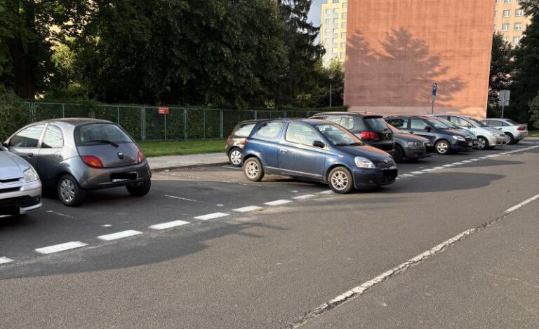 Mistrzowie parkowania [FOTO]
