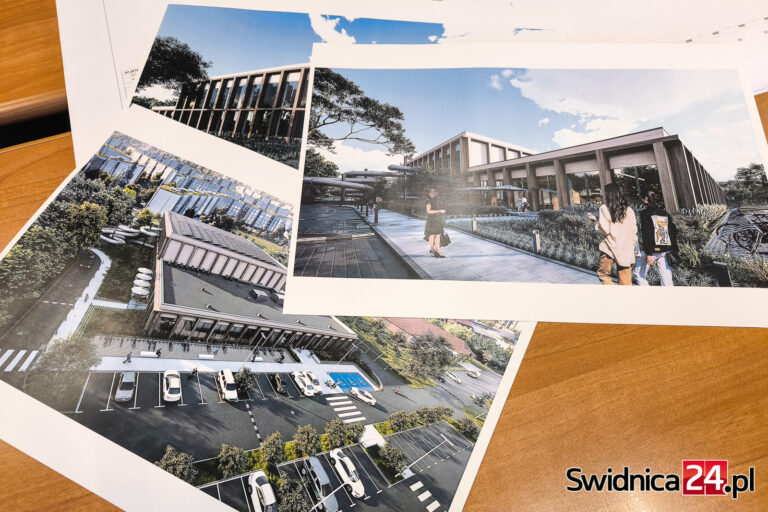 Park Wodny w Świdnicy. Czy radni wiedzą, za czym mają zagłosować? Ile kosztują baseny w okolicy?