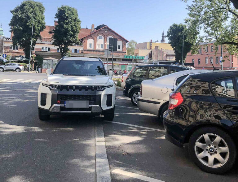 Mistrzowie parkowania [FOTO]