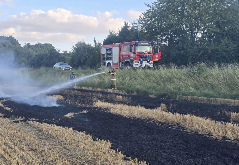 Pożary ściernisk i traw w powiecie świdnickim. Najwięcej w gminie Strzegom [FOTO]