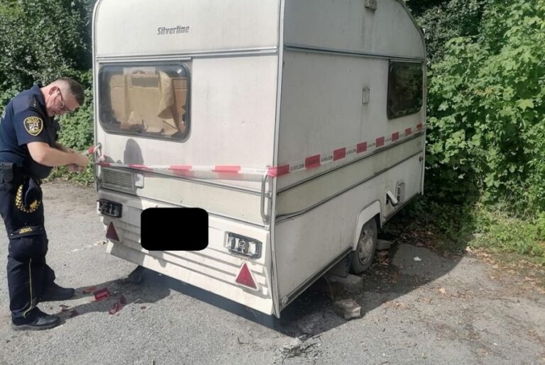 „Zadymienie” nad parkową altaną, senior wymagający pomocy, zawalenie stropu w pustostanie. Interwencje straży miejskiej