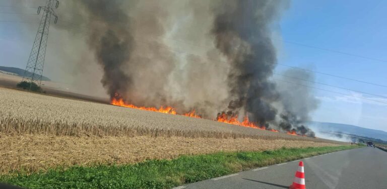 Pożar zboża w Miłochowie [FOTO]