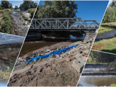 Rok po powodzi. Tak teraz wygląda świdnicki odcinek Bystrzycy. Kiedy doczeka się uprzątnięcia?