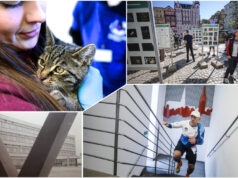 Co? Gdzie? Kiedy? Weekendowy kalendarz wydarzeń